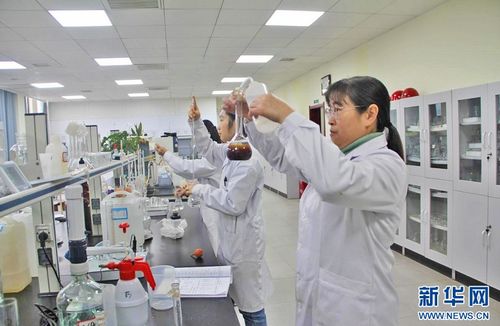 聚焦高质量发展 信息科技领域的技术开发与“傻瓜肥”式新质生产力